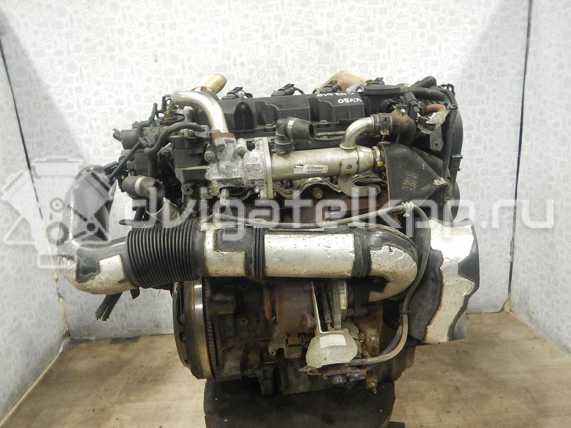 Фото Контрактный (б/у) двигатель D 4204 T для Volvo V50 Mw / C70 / V70 / C30 / S40 136 л.с 16V 2.0 л Дизельное топливо {forloop.counter}}