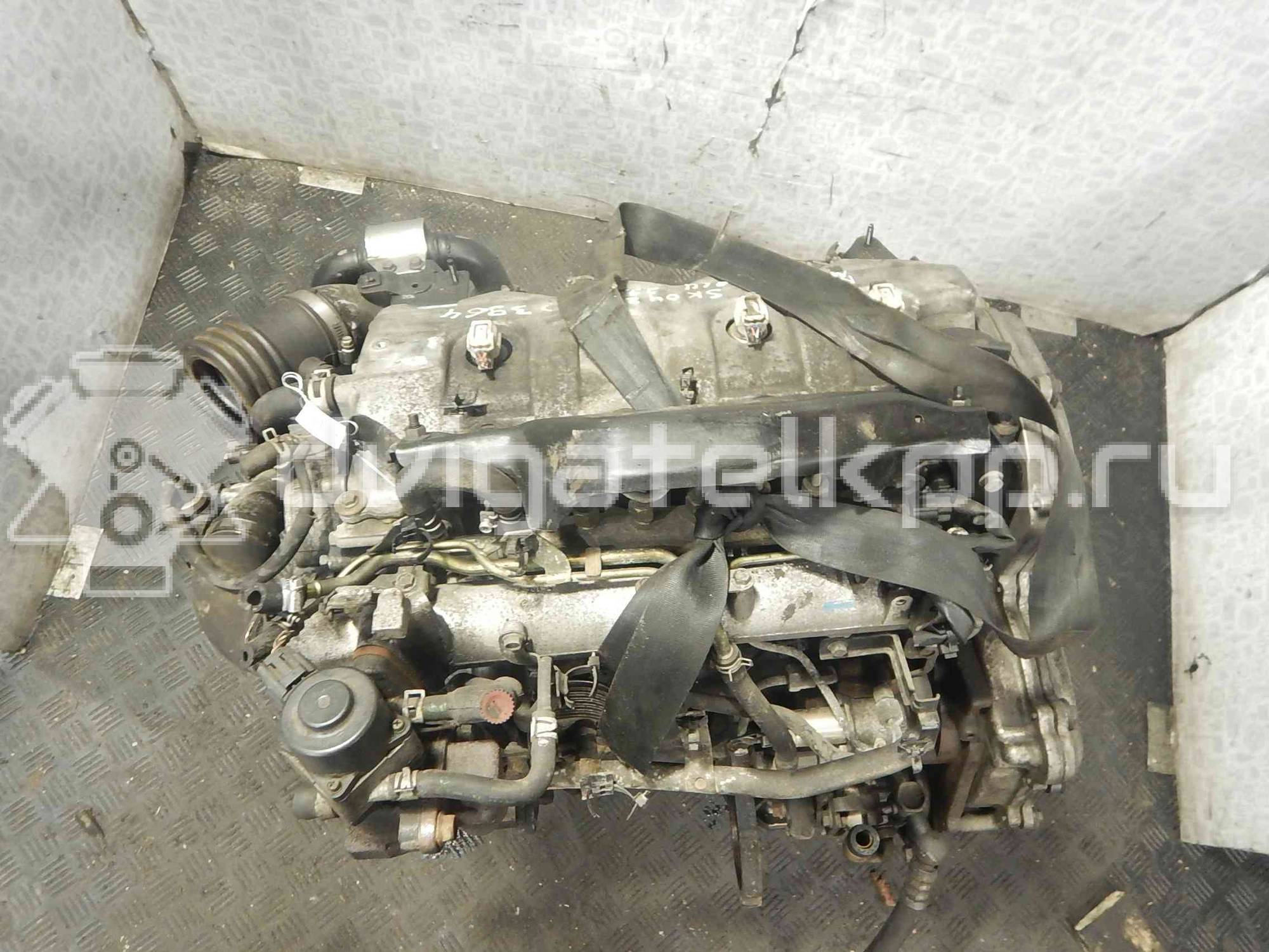 Фото Контрактный (б/у) двигатель YD22DDT для Nissan Primera / Almera 110-139 л.с 16V 2.2 л Дизельное топливо 10102AW401 {forloop.counter}}