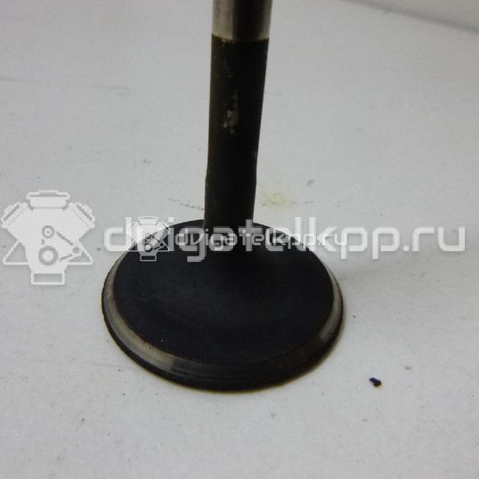 Фото Клапан впускной для двигателя CHFA для Volkswagen / Skoda 60 л.с 6V 1.2 л бензин 032109601L