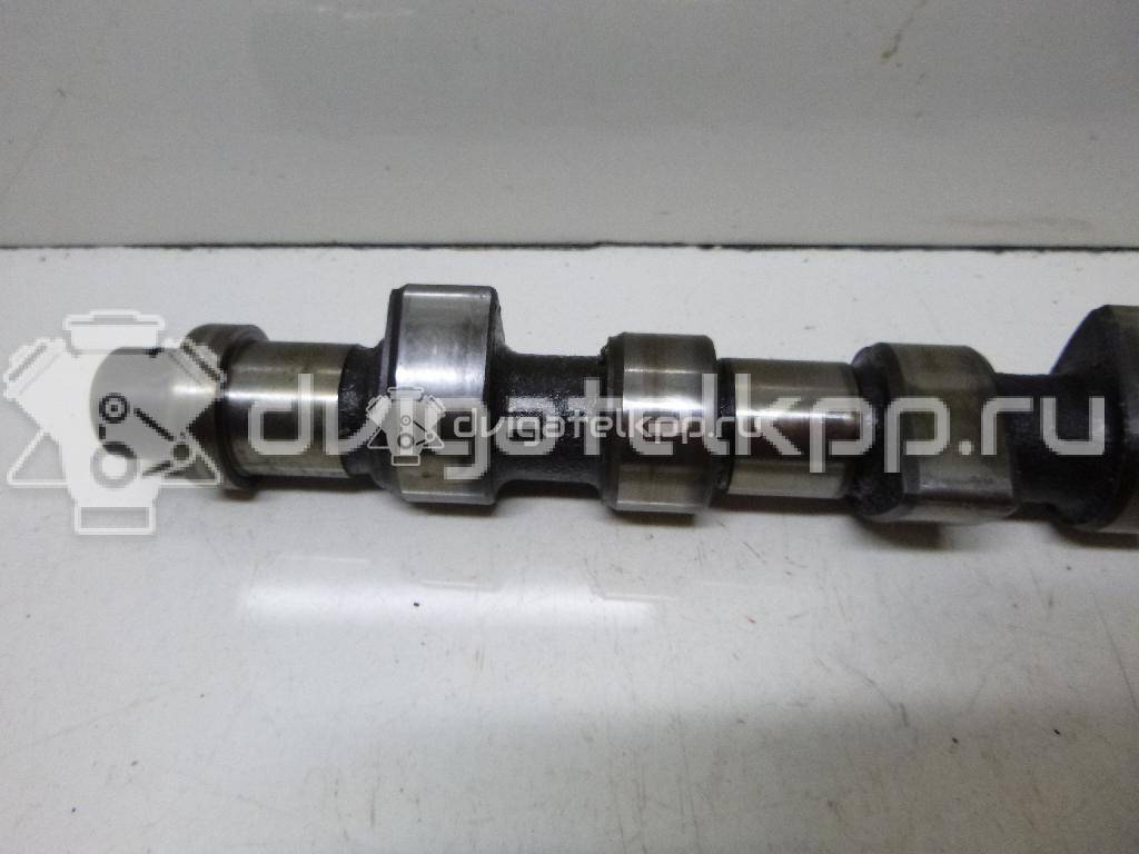 Фото Распредвал для двигателя 1F для Volkswagen Passat / Saveiro / Polo / Caddy 72 л.с 8V 1.6 л бензин 026109101M {forloop.counter}}