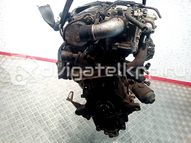 Фото Контрактный (б/у) двигатель Z 19 DT для Holden / Opel / Vauxhall 120 л.с 8V 1.9 л Дизельное топливо Z19DT {forloop.counter}}