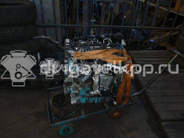 Фото Контрактный (б/у) двигатель CFFB для Volkswagen Tiguan / Cc / Sharan / Eos 1F7, 1F8 / Golf 140 л.с 16V 2.0 л Дизельное топливо {forloop.counter}}